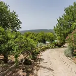 Casa Amoreira - Quinta Amoreira