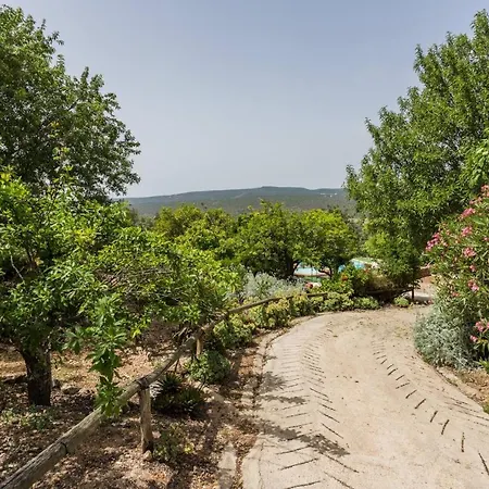 Casa Amoreira - Quinta Amoreira