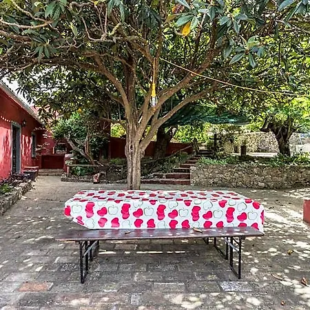 Casa Amoreira - Quinta Amoreira Фару