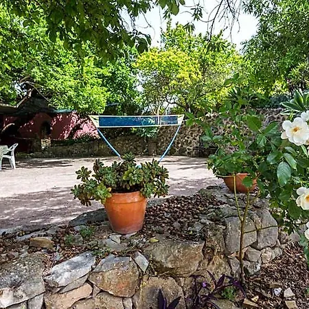 Casa Amoreira - Quinta Amoreira *