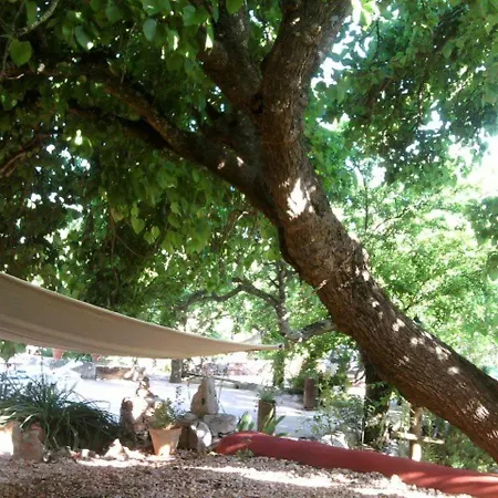 Casa Amoreira - Quinta Amoreira Faro