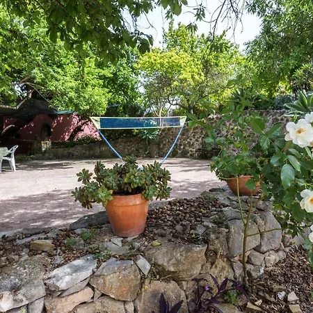 Casa Amoreira - Quinta Amoreira Orman Evi