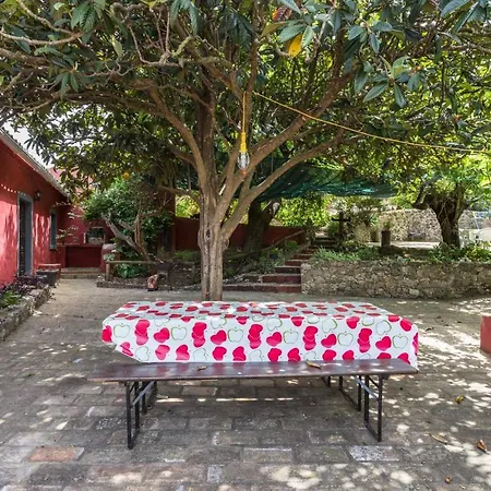 Lodge Casa Amoreira - Quinta Amoreira Faro