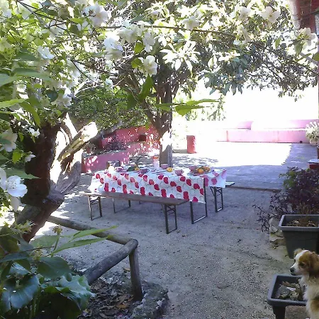 Casa Amoreira - Quinta Amoreira Lodge