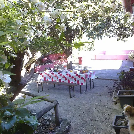 Casa Amoreira - Quinta Amoreira Lodge